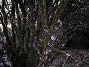 04152011_Lori and Rons_27